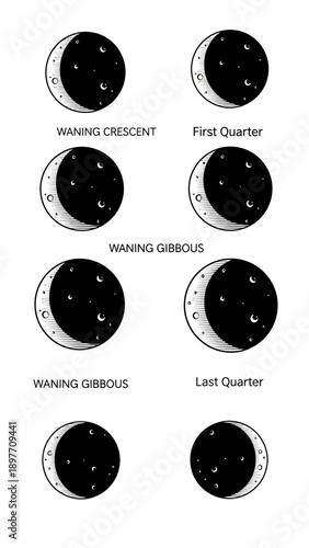 Phases of the Moon: Waning Crescent, First Quarter, Waning Gibbous, Last Quarter