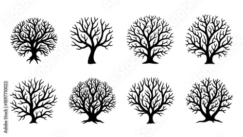 Set of Eight Black Silhouette Bare Trees with Intricate Branches, Winter or Autumn Season