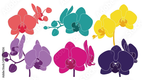 Vibrant Orchid Collection: Colorful Tropical Flower Silhouettes on White Background