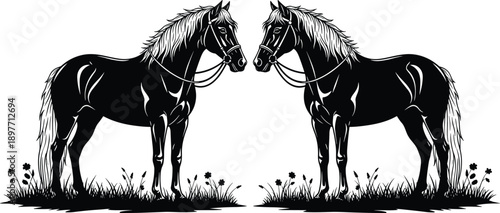 Black and white vector illustration of two majestic stallion horses with bridles standing in a grassy field for ranching farming and equestrian nature concepts