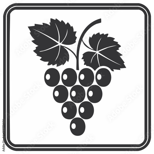 Silhouette of a bunch of grapes with leaves within a square frame