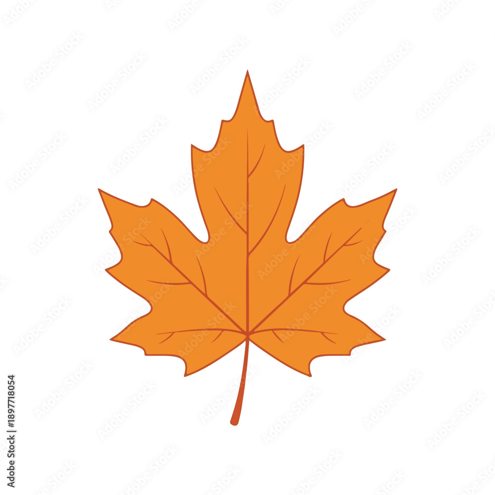 Obraz premium Autumn Maple Leaf Vector Illustration