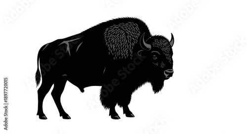 Black bison silhouette standing in center of clean white background vector illustration