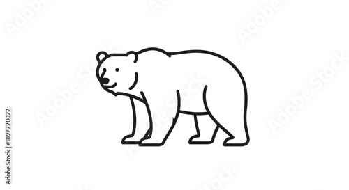 A simple vector illustration of a bear walking alone in a plain white background from a side view.