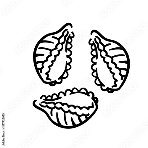 Conchiglie rigate pasta vector. Italian food sketch in vintage doodle style. Black line icon for kitchen decor, cafe menu and food branding. Isolated shell macaroni drawing on white.