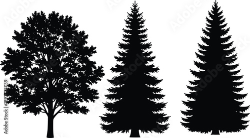 Black tree silhouettes of deciduous and pine evergreen forest trees, minimal vector illustration set for nature, landscape, eco design, branding, logo, and decoration projects