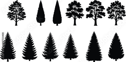 Collection of pine, cypress, and deciduous tree silhouettes isolated on white background, featuring forest and garden species for nature, landscaping, ecology, and environmental design concepts
