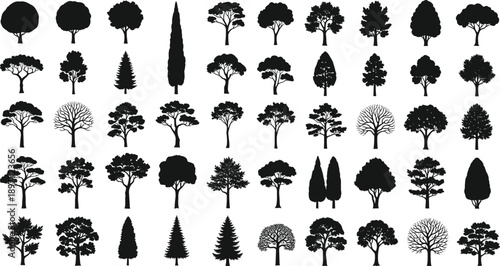 Huge collection of black tree silhouettes with diverse deciduous, evergreen, pine, and cypress forest shapes, detailed vector illustration set for nature, landscape, 