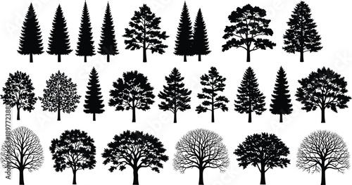Large collection of black tree silhouettes including pine, fir, oak, maple, and winter bare trees isolated on white background for landscape design,