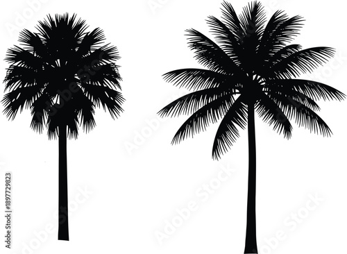 Tropical palm tree silhouettes isolated black and white coconut trees vector illustration set beach summer nature landscape design