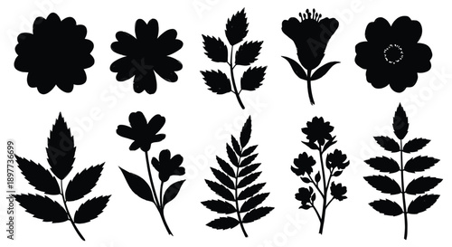 Floral arrangements in black botanical illustrations striking silhouette