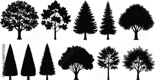 Black tree silhouette set featuring deciduous and evergreen forest trees isolated on white background for landscape design vector graphics nature illustration and environmental projects