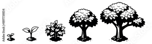Monochrome graphic tree growth set featuring various stages of plant life for nature and development concepts