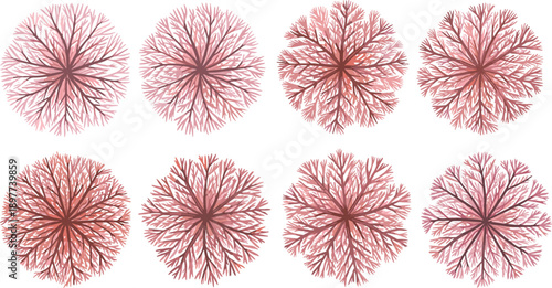 Top view flat vector illustration set of pink coral reef shapes and branching marine organisms isolated on white background for ocean, biology and decorative design use