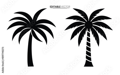 Two black silhouette palm trees with differing leaf structures against a white background high quality