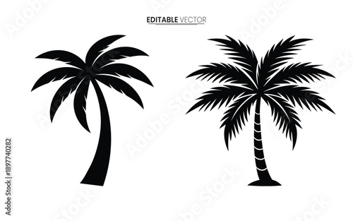 Two black silhouette illustrations of tropical palm trees with varying frond detail are displayed