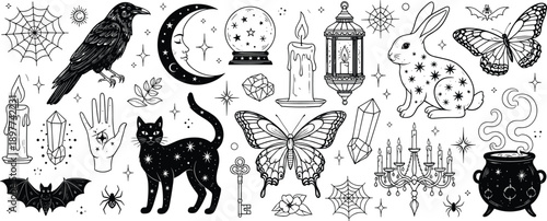 Mystical Occult Vector Elements, Witchcraft Symbols Set with Black Cat Raven and Moon, Magic Esoteric Icons