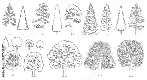 Collection of diverse tree outlines in line art style, showcasing various species and shapes for graphic design resources.