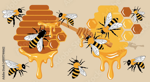 Cartoon illustration showcasing bees collecting honey from honeycombs on a neutral background