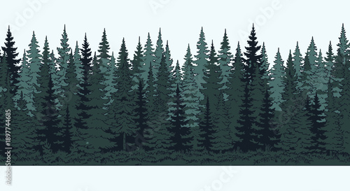Dense evergreen forest illustration with dark green pine and fir trees seamlessly repeating
