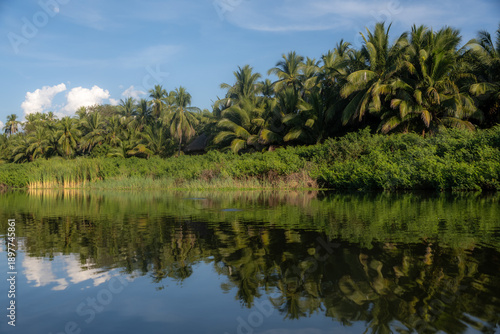 Troncones Guerrero Mèxico 