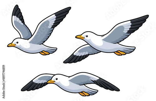 Cartoon seagull set featuring three flying seagulls for summer and ocean themes
