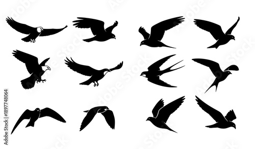 Black Flying Bird Silhouette Icon Set Wildlife Shadow Vector Collection