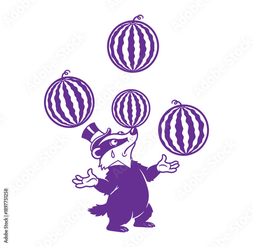 Raccoon juggling three striped melons in a playful circus act with top hat