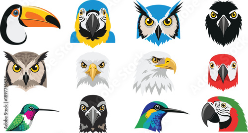 Colorful vector bird head icons collection, toucan parrot owl eagle hawk hummingbird wildlife mascot logo illustration set
