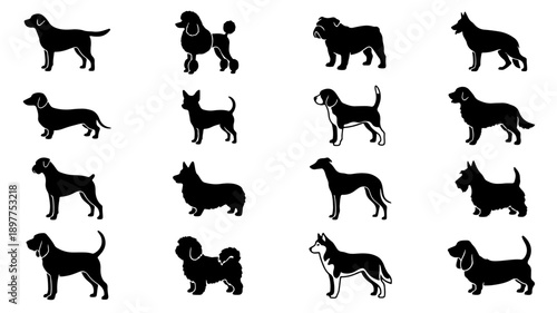Collection of Dog Silhouettes Various Breeds Poses.