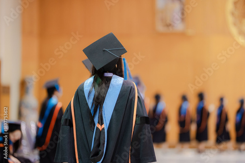 Rear view of university graduates wearing academic gowns and mortarboards standing in line during a commencement ceremony. The image represents higher education achievement, graduation success, academ