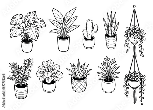 Hand drawn line art houseplant set featuring various potted and hanging plants for home decoration