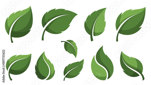 Collection of green leaf shapes.