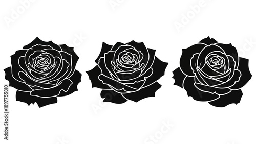 Black roses with white outlines.