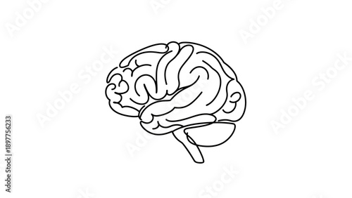 Human Brain Illustration Side View.