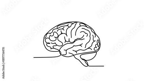 Human brain drawing line art style.