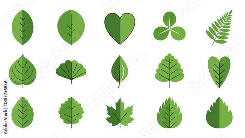 Collection of various green leaf shapes.
