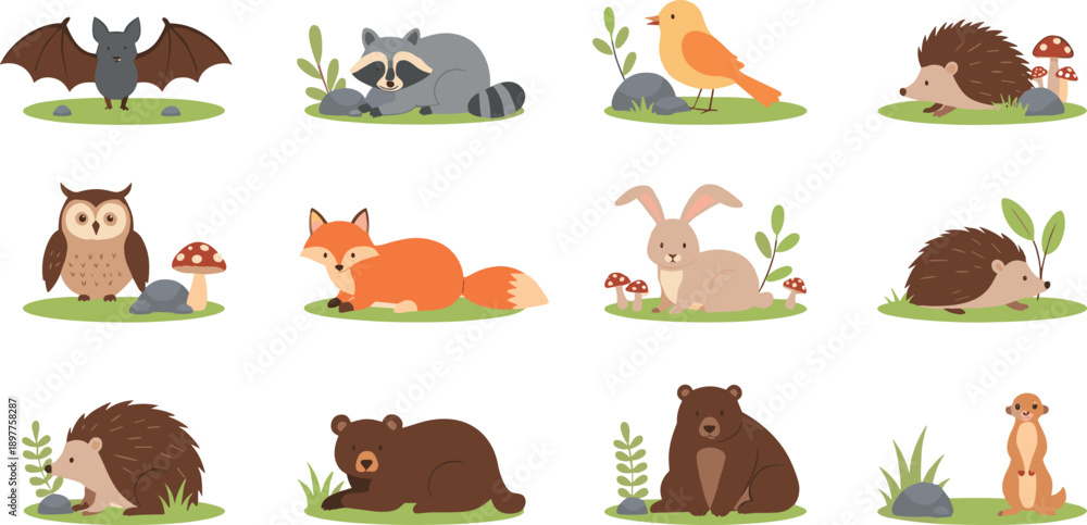 Obraz premium Cute Forest Animal Vector Set with Woodland Wildlife Characters and Nature Elements