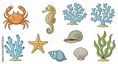 Colorful cartoon illustrations of various marine life and underwater elements including crab, seahorse, starfish, shells, coral, and seaweed.