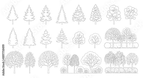 Collection of diverse tree outlines and silhouettes, featuring various coniferous and deciduous trees, as well as groups of trees and bushes in line art style.