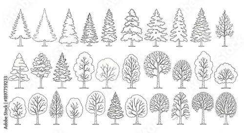 Collection of various tree outlines in line art style, showing different shapes and types of coniferous and deciduous trees for graphic design.