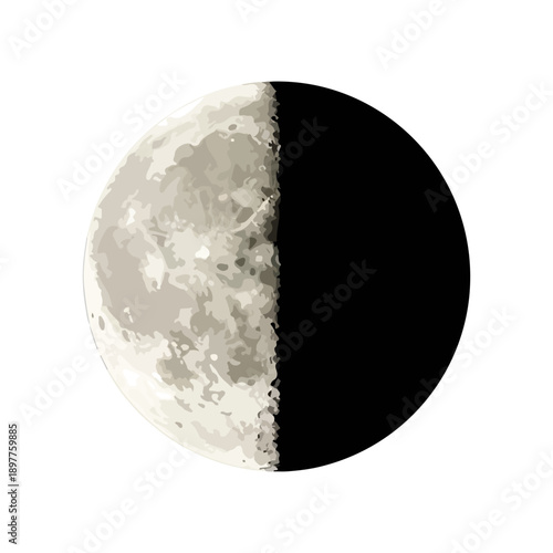 First Quarter Moon Phase Vector Graphic Astronomy Icon