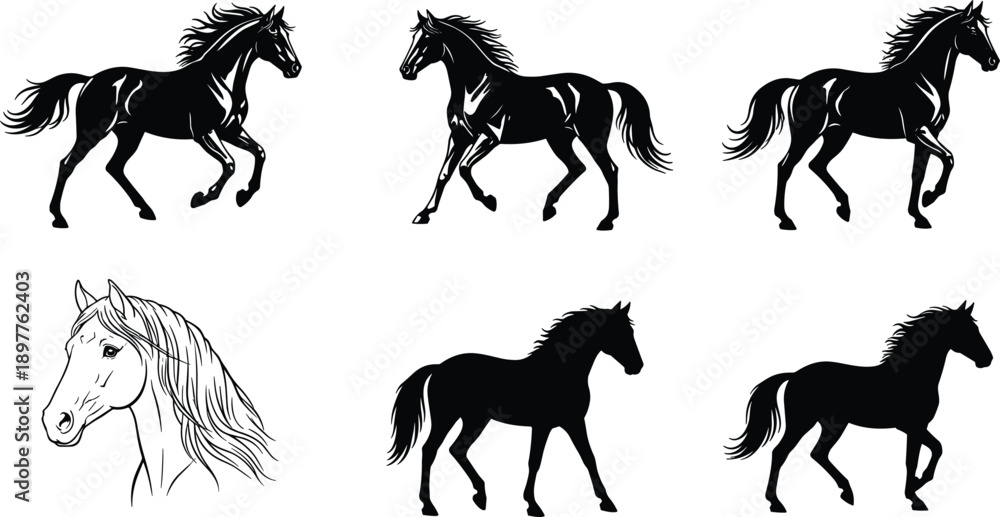 Fototapeta premium Horse silhouette and sketch collection featuring running walking equine poses black line vector illustration set animal art design