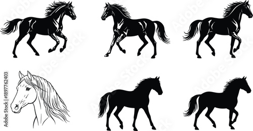Horse silhouette and sketch collection featuring running walking equine poses black line vector illustration set animal art design