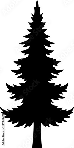 vector illustration of a pine