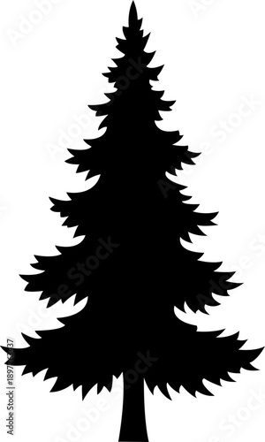 Silhouette of pine tree vector