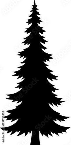 Silhouette of a pine tree
