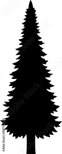 vector illustration of a pine tree
