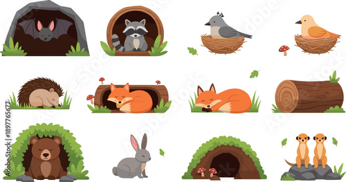 Cute Woodland Animal Habitat Vector Set with Forest Wildlife Characters and Nature Elements
