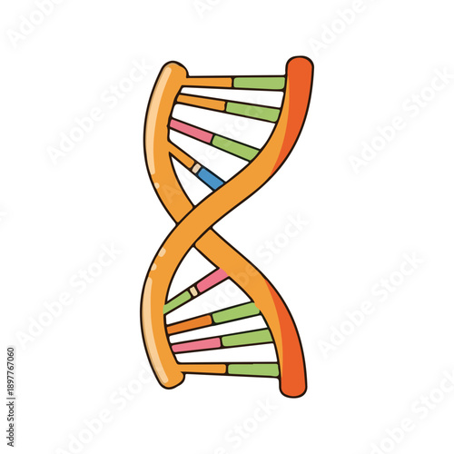 Cartoon DNA Double Helix Structure Vector Icon Illustration